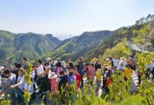 ​“赶游客入收费景点”还是另有缘由