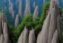 黄山毛峰如何保存