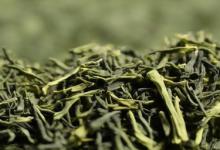 崂山绿茶的制作工艺有哪些