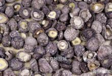 买干香菇时，看这4个地方，干货店老板：太精明了，不敢糊弄