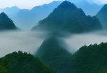 庐山云雾产地