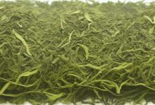 日照绿茶 崂山绿茶