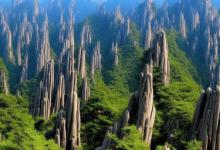 黄山毛尖和毛峰哪个好