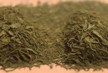 河山日照绿茶