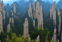 六安瓜片与黄山毛峰