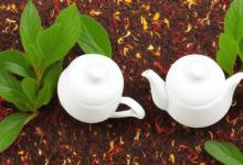 怎么知道这茶是雪芽