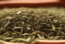 崂山绿茶的泡发