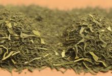 日照绿茶有哪几个样品