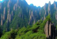 如何鉴别黄山毛峰等级