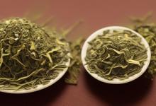 日照绿茶出名么