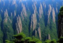 黄山毛峰的产地