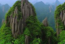 黄山毛峰是什么香味