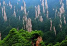 黄山毛峰的历史