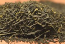 崂山绿茶一年采几次