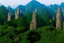 五溪山黄山毛峰
