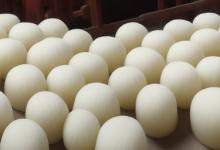 羊脂白玉 籽料鉴定拍卖