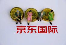 京东自营和京东大药房的区别(京东自营店怎么开)