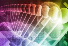 拼多多订单如果一直不发货会怎么样？如何赔偿？