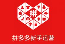 拼多多双11有哪些优惠活动？怎么买划算？