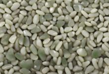 和田玉白玉籽料 水透