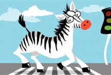 ​斑马和斑马线有关系吗斑马线是模仿斑马的吗