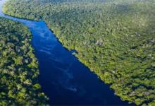 亚马孙河流量大的原因亚马孙河在哪里