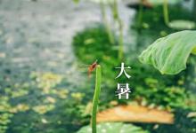 大暑是夏季最后的节气有哪些注意事项