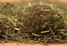 崂山绿茶的用途