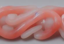 红皮白玉原石