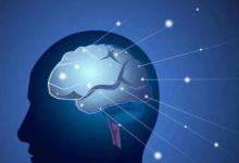 拼多多自动回复算回复率吗?如何提高？