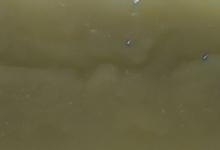 和田玉墨玉县介绍