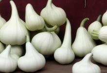 白玉葫芦代表什么意思