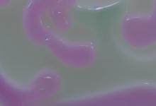 淡紫罗兰玉观音