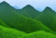 且末青白玉山料