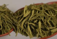 喝龙井用什么茶壶好