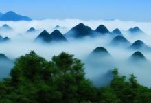 庐山云雾什么味道