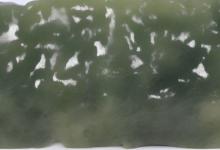 新疆和田玉 碧玉白玉