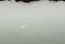 糖白玉能刮的动吗