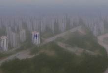 长沙高桥银峰