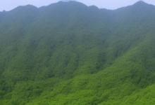 且末的糖白玉山料