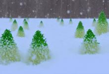 雪芽产自哪里