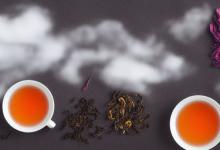 云雾之境茶