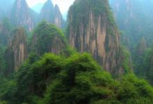 黄山毛峰 怎么泡