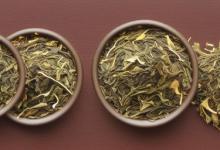 崂山绿茶的泡茶方法
