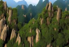 黄山毛峰是什么香