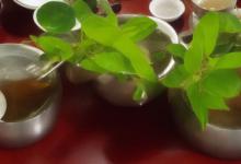 太平猴魁要洗茶吗