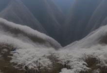 峨眉雪芽和青城山雪芽