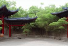 圣水毛尖