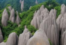 黄山毛峰怎么买