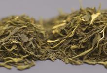 崂山绿茶中最好的
